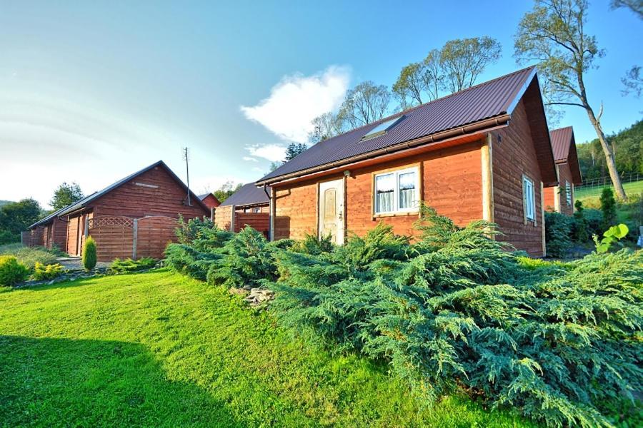 Villa U Zrodel Strwiaza Ustrzyki Dolne Esterno foto