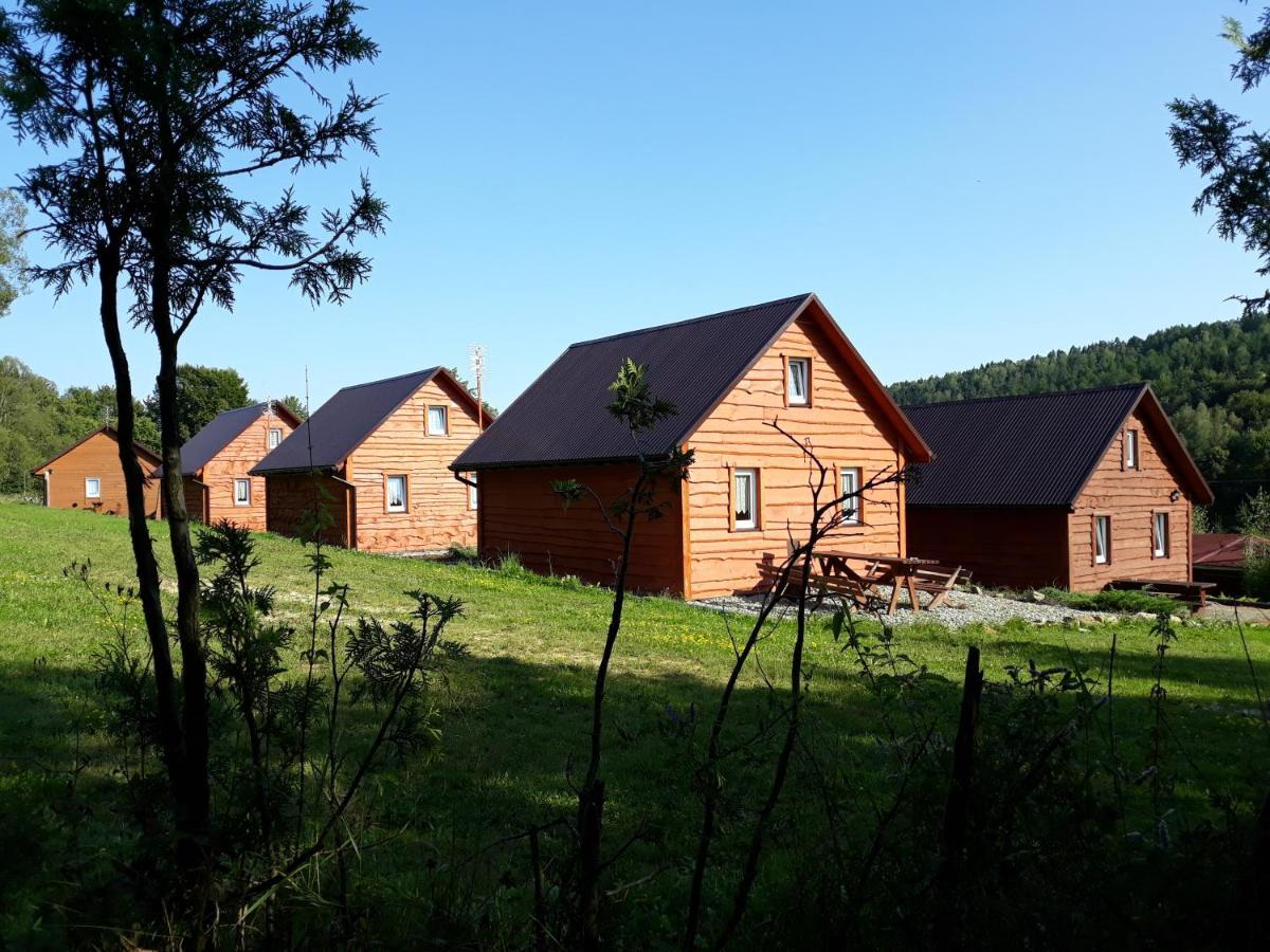 Villa U Zrodel Strwiaza Ustrzyki Dolne Esterno foto