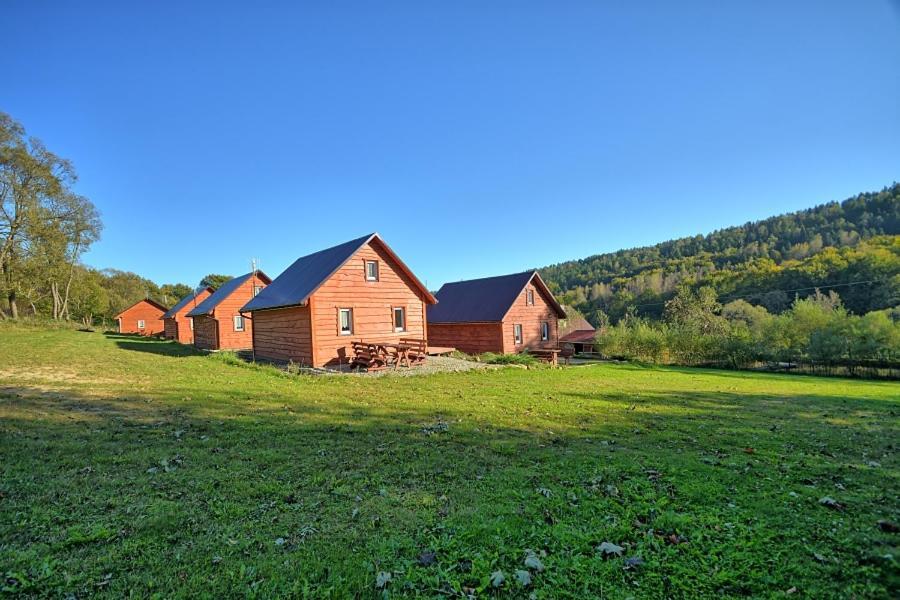 Villa U Zrodel Strwiaza Ustrzyki Dolne Esterno foto