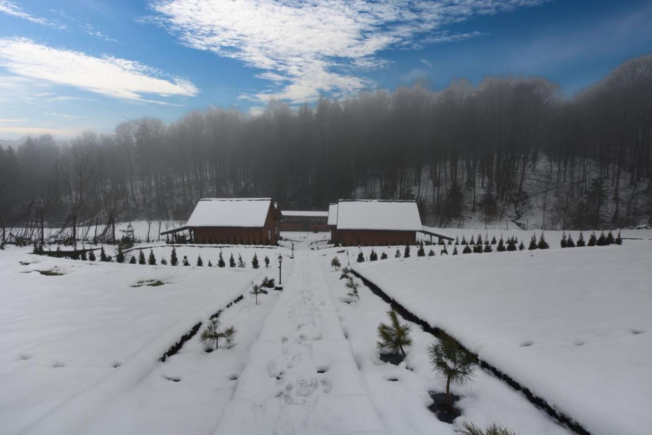 Villa U Zrodel Strwiaza Ustrzyki Dolne Esterno foto