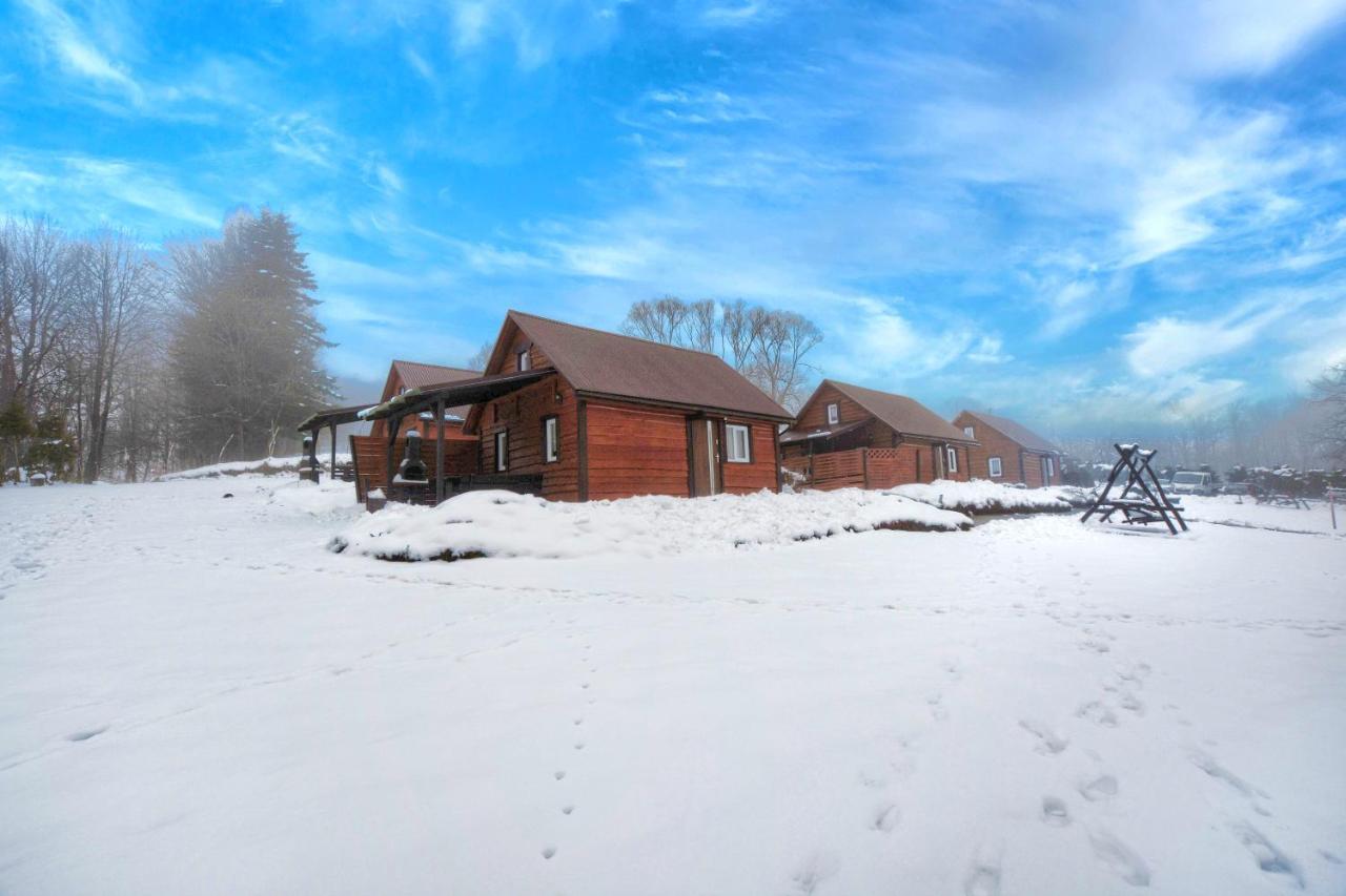 Villa U Zrodel Strwiaza Ustrzyki Dolne Esterno foto